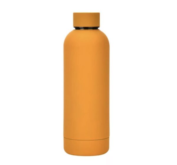 Stainless Steel Matte Water Bottle