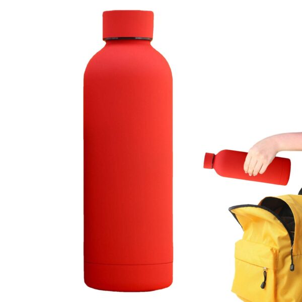 Stainless Steel Matte Water Bottle
