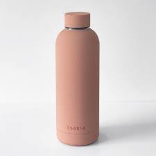 Stainless Steel Matte Water Bottle