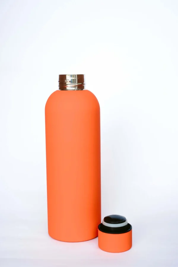 Stainless Steel Matte Water Bottle
